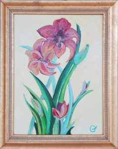 Amaryllis 2