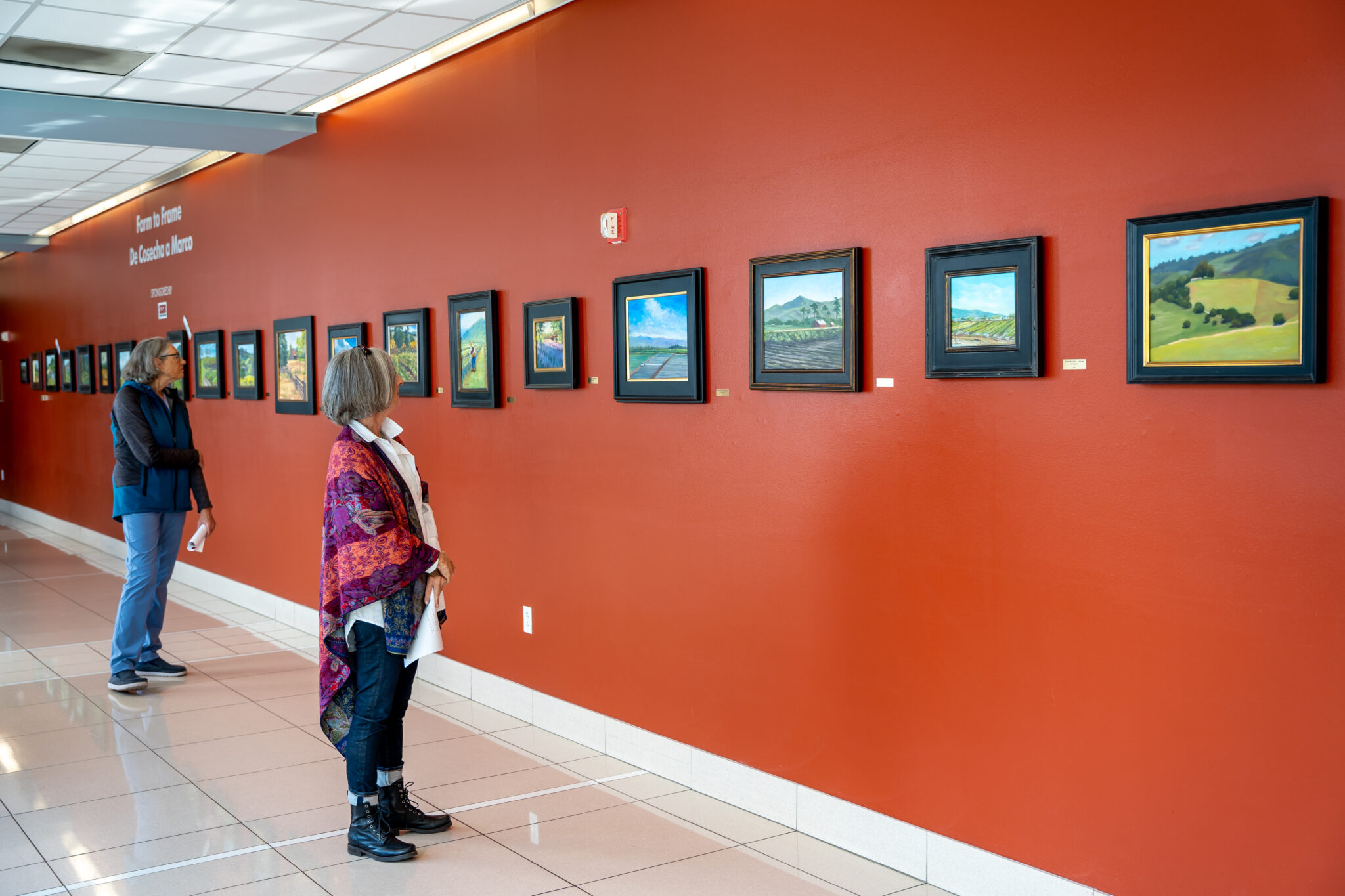 Five Art Exhibitions Unveiled at Natividad Natividad Foundation