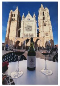 Carlon, David - Paired Perfectly Leon, Spain