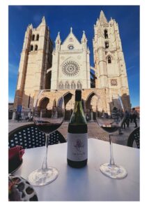 Carlon, David - Paired Perfectly Leon, Spain