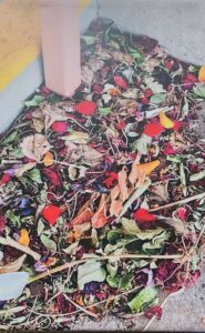 Edwards, Janie - Simple Beauty