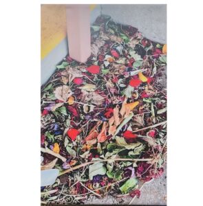 Edwards, Janie - Simple Beauty