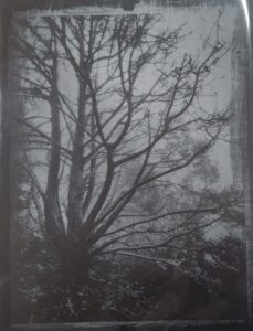 Into the Fog by Kit Nicholas
