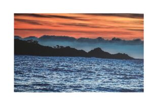 Ortiz, Luis - Gradient Dust