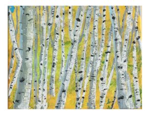 Scott, Stephen - Can_t see the Forest for the Trees!