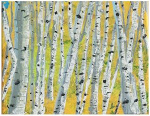 Scott, Stephen - Can't see the Forest for the Trees!