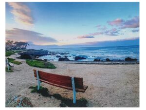 Vega, Virgina - Coastal Serenity